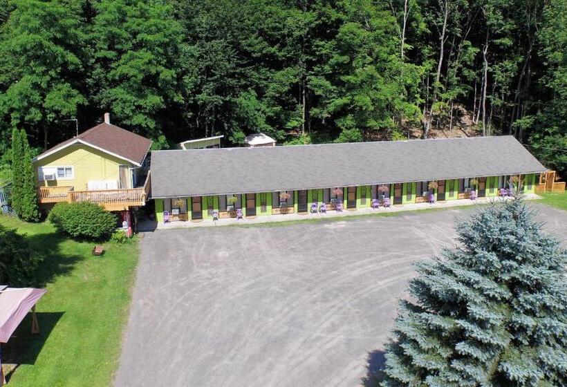 Starlite Motel & Suites