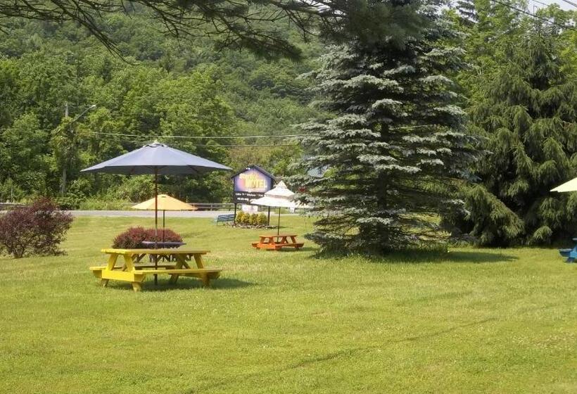 Starlite Motel & Suites