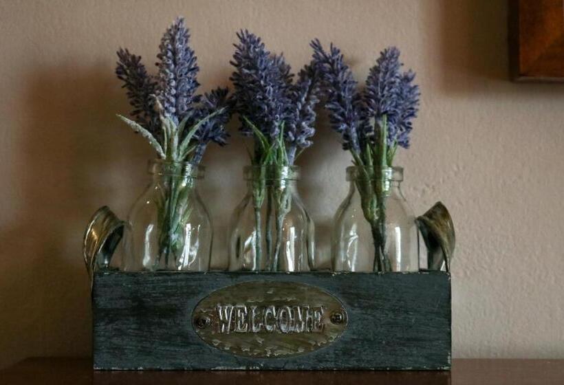 The Hollybush Inn And B&b