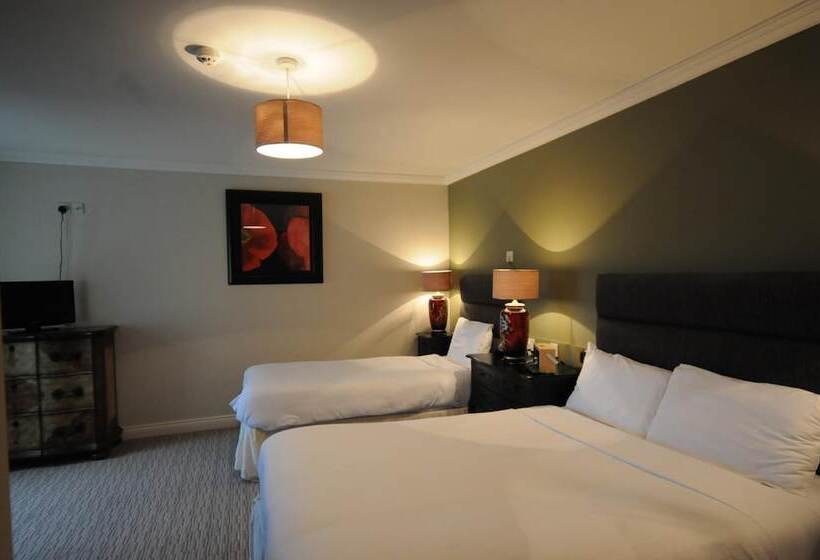 فندق فئة نجمة واحدة Castle Lodge