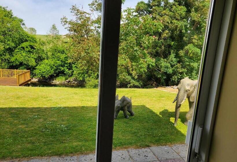 酒店 Ardilaun Guesthouse Self Catering