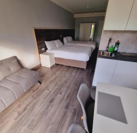 酒店 Ardilaun Guesthouse Self Catering