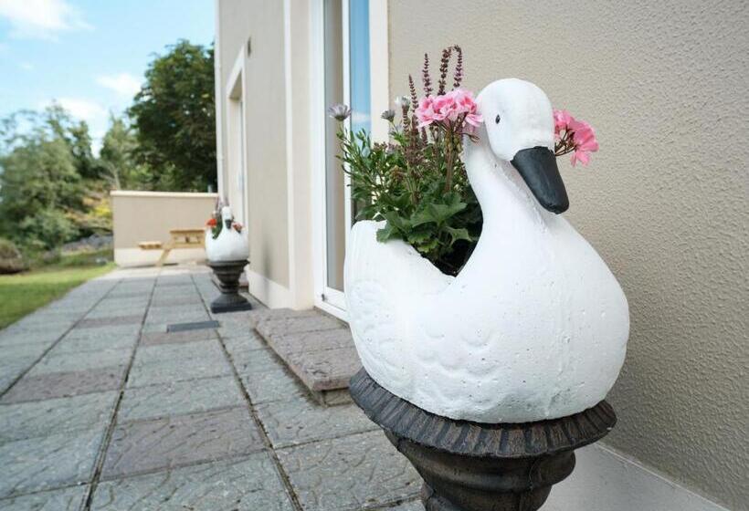 酒店 Ardilaun Guesthouse Self Catering