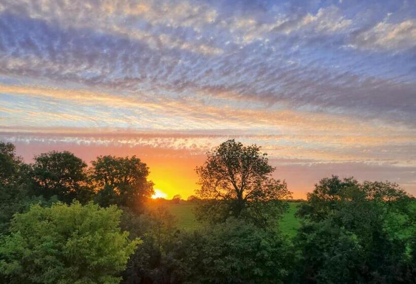 酒店 Ardilaun Guesthouse Self Catering