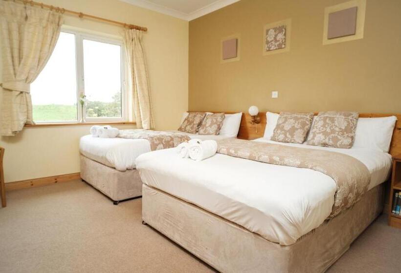 酒店 Ardilaun Guesthouse Self Catering