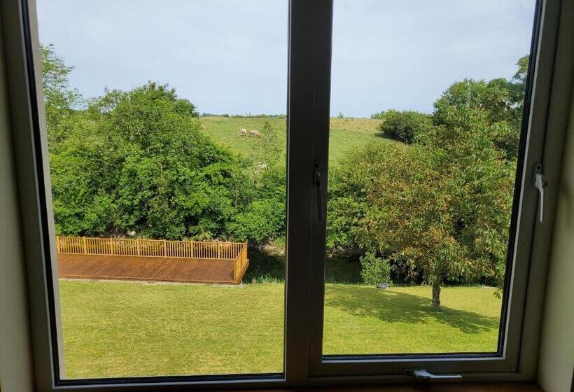 酒店 Ardilaun Guesthouse Self Catering