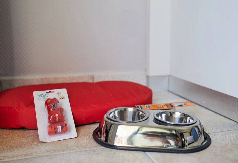 ホテル Sarena De Muro Resort Mallorca   New Opening