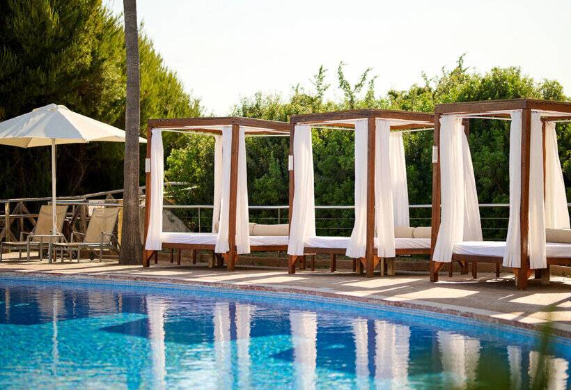 ホテル Sarena De Muro Resort Mallorca   New Opening