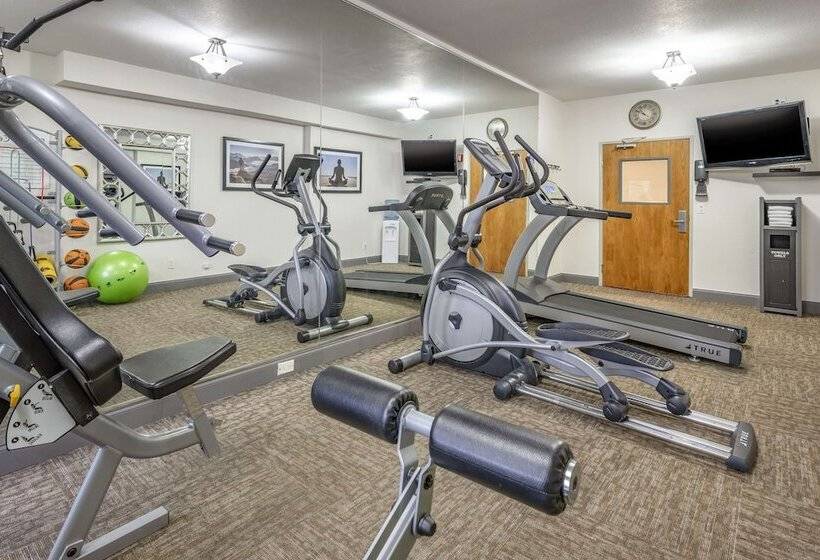 호텔 Best Western Plus Peppertree Airport Inn