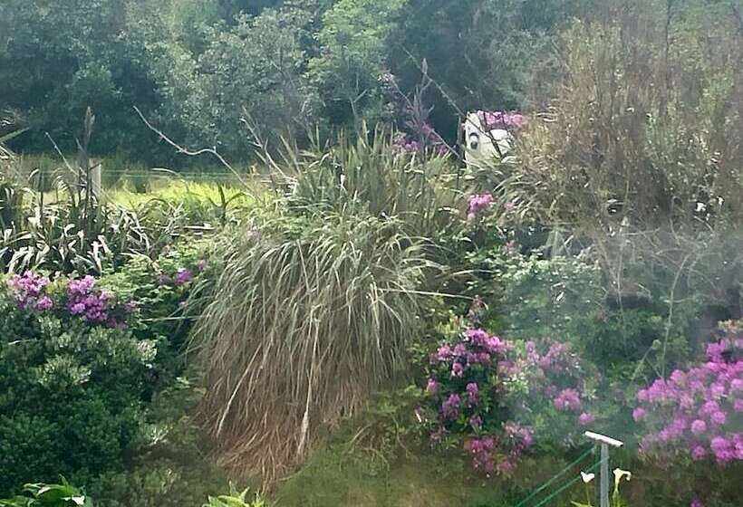 Отель Buttermilk Lodge Guest Accommodation