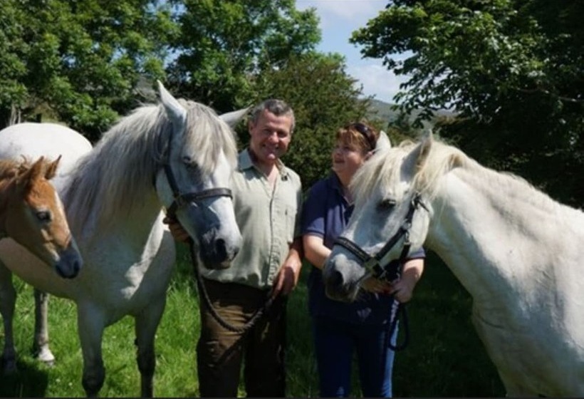 Отель Buttermilk Lodge Guest Accommodation