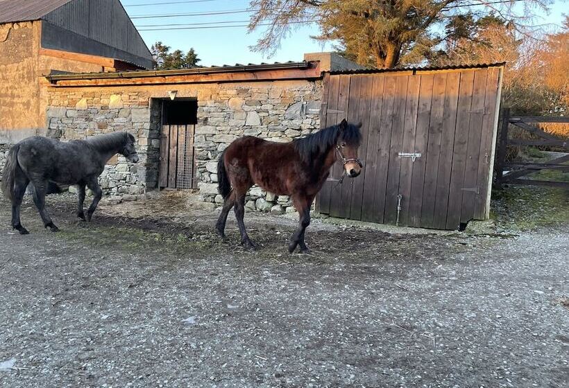 Отель Buttermilk Lodge Guest Accommodation