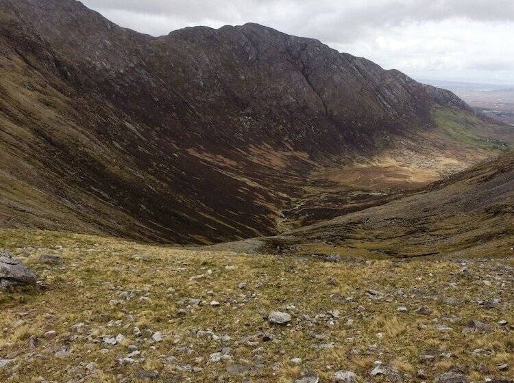 Отель Buttermilk Lodge Guest Accommodation