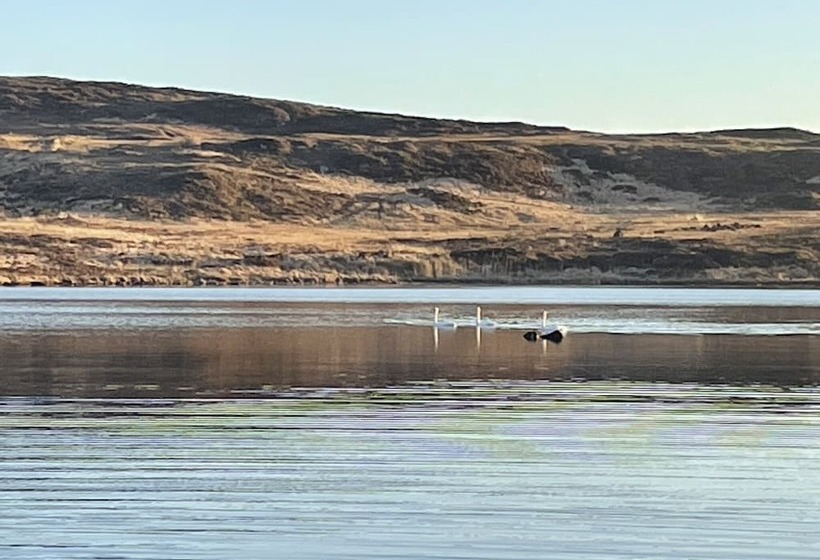 Отель Buttermilk Lodge Guest Accommodation