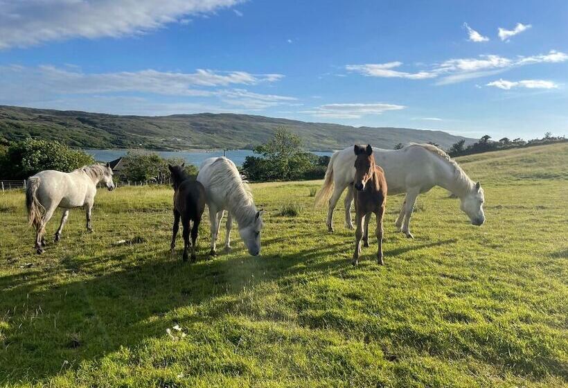 Отель Buttermilk Lodge Guest Accommodation