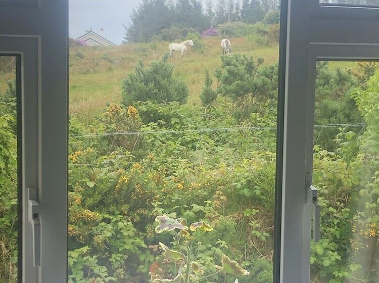 Отель Buttermilk Lodge Guest Accommodation