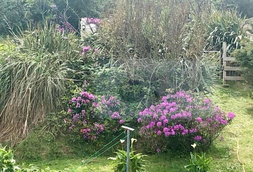 Отель Buttermilk Lodge Guest Accommodation