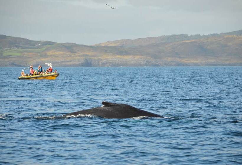 Отель Casey S Of Baltimore Collection