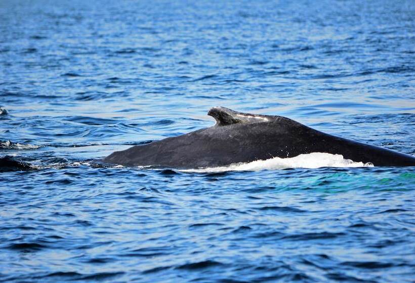 Отель Casey S Of Baltimore Collection