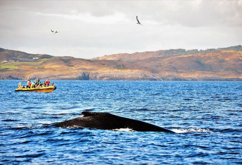 Отель Casey S Of Baltimore Collection