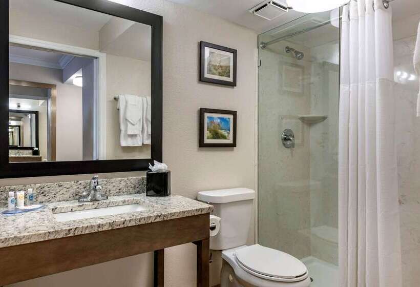 בית מלון כפרי Comfort Inn & Suites Daytona Beach Oceanfront