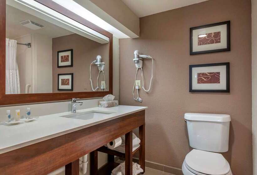 فندق Comfort Suites Sawgrass