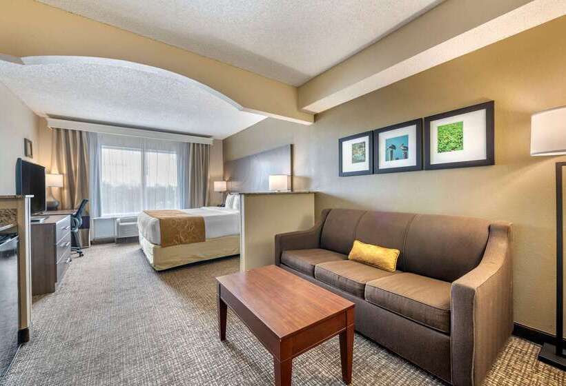 فندق Comfort Suites Sawgrass