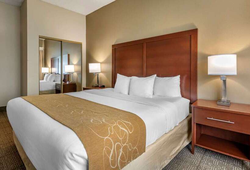 فندق Comfort Suites Sawgrass