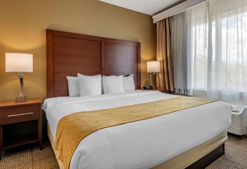 فندق Comfort Suites Sawgrass