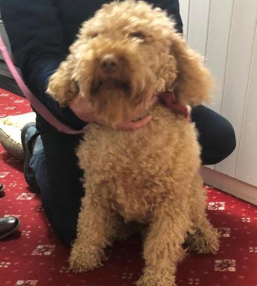 ホテル Coral Gables Guesthouse & Campsite