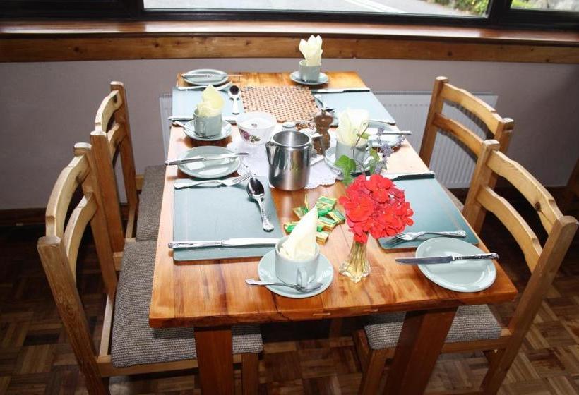 בית מלון כפרי Corrib Wave Guest House