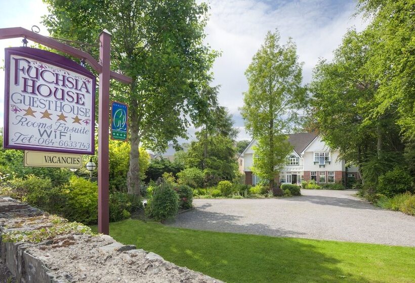 هتل Fuchsia House