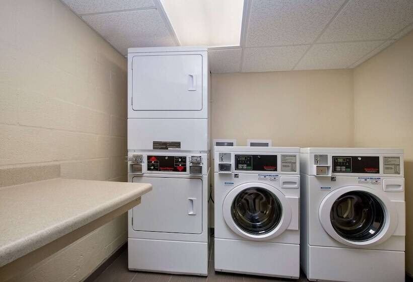 酒店 Hampton Inn Naples I 75