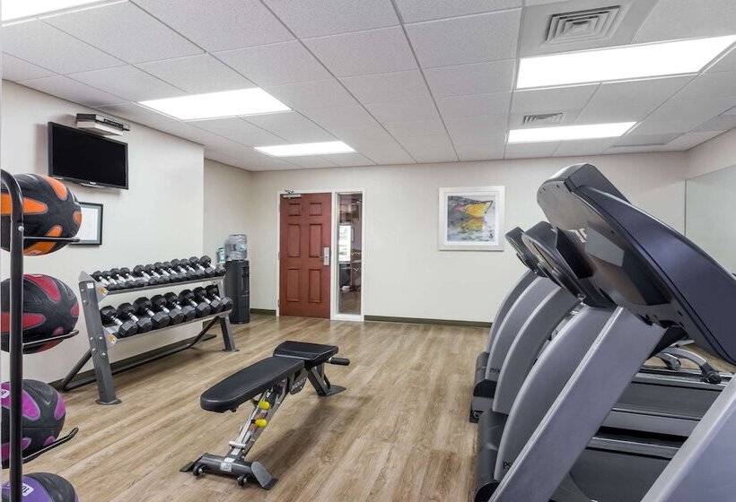 酒店 Hawthorn Extended Stay By Wyndham Naples