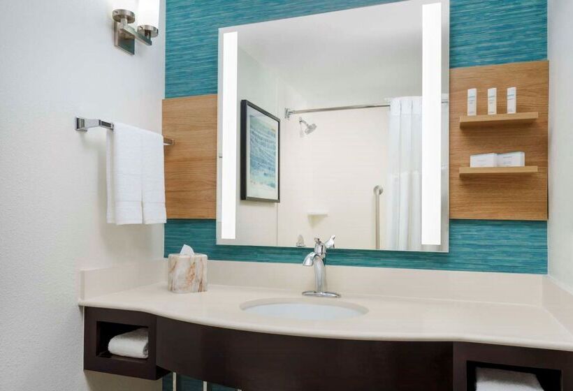 ホテル Hilton Garden Inn Orlando At Seaworld