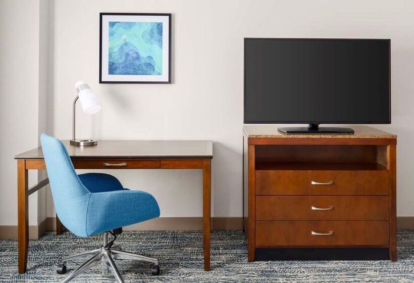 ホテル Hilton Garden Inn Orlando At Seaworld