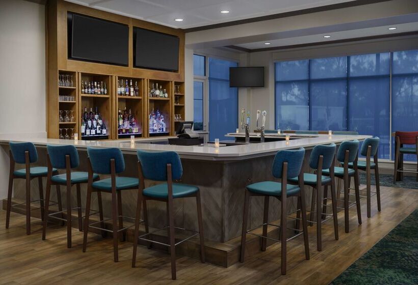 ホテル Hilton Garden Inn Orlando At Seaworld
