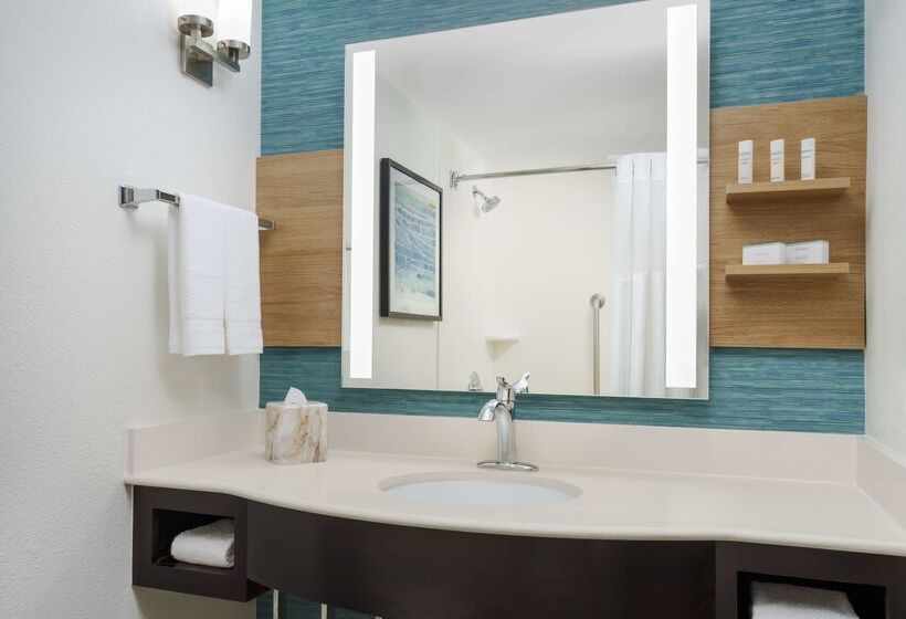 ホテル Hilton Garden Inn Orlando At Seaworld