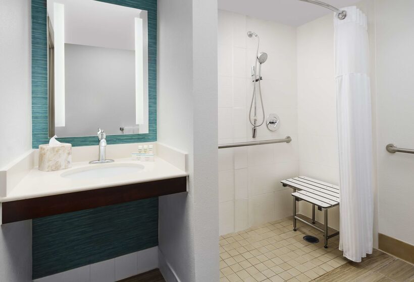 ホテル Hilton Garden Inn Orlando At Seaworld