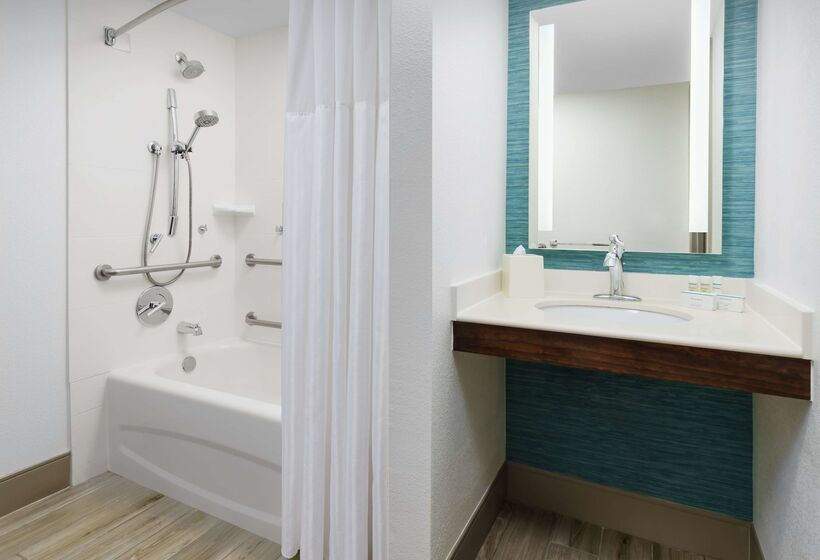 ホテル Hilton Garden Inn Orlando At Seaworld