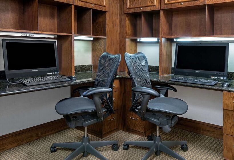 酒店 Hilton Garden Inn San Antonio Airport