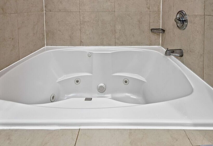 酒店 Hilton Garden Inn San Antonio Airport