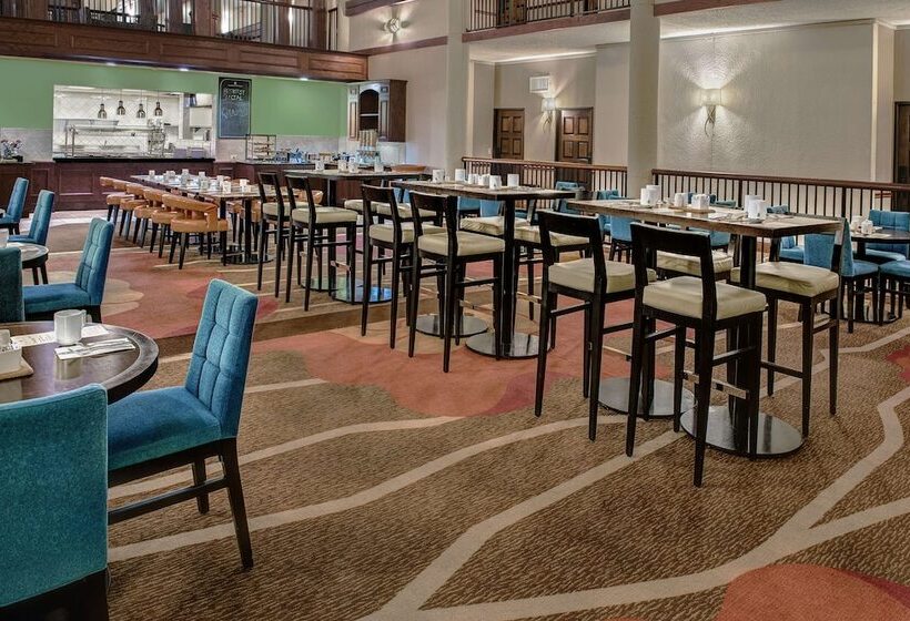 酒店 Hilton Garden Inn San Antonio Airport