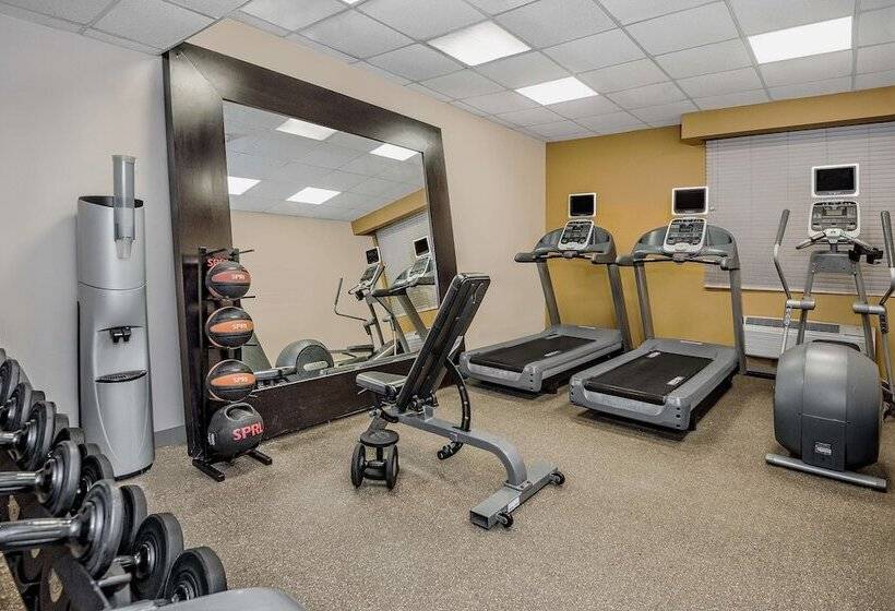 酒店 Hilton Garden Inn San Antonio Airport