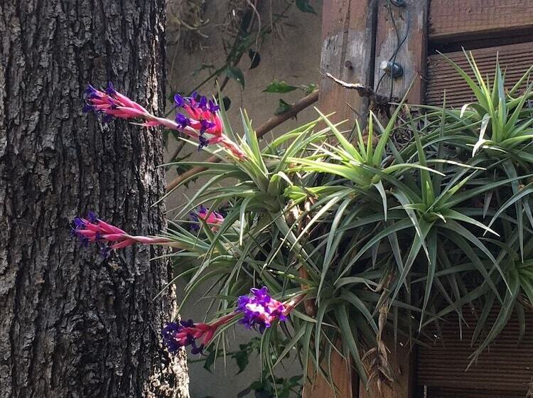 בית מלון כפרי Hôtel Villa La Malouine