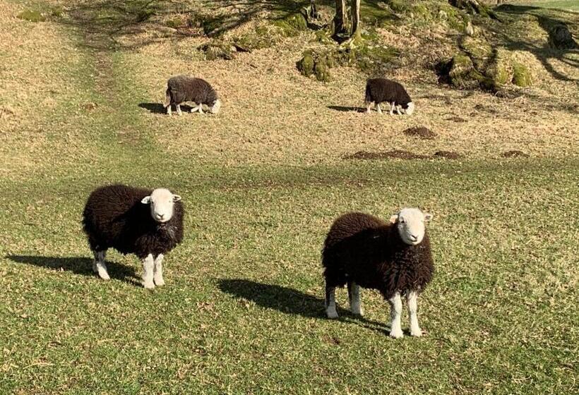 בית מלון כפרי Ivythwaite Lodge Guest House