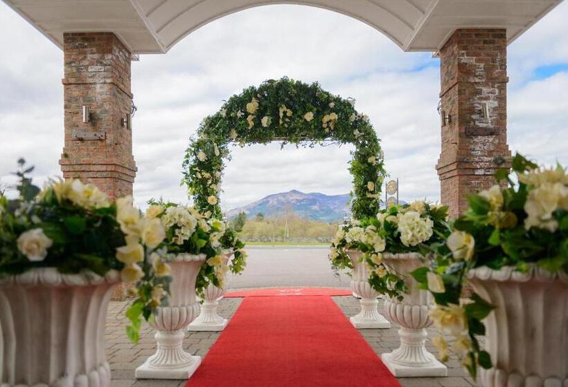 ホテル Killarney Oaks