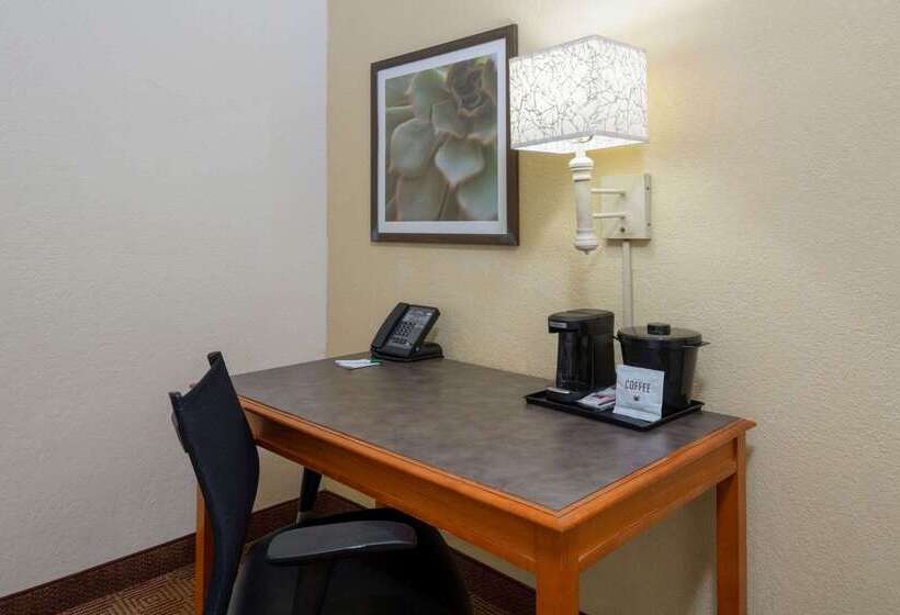 فندق La Quinta East Deerfield Beach   Boca Raton