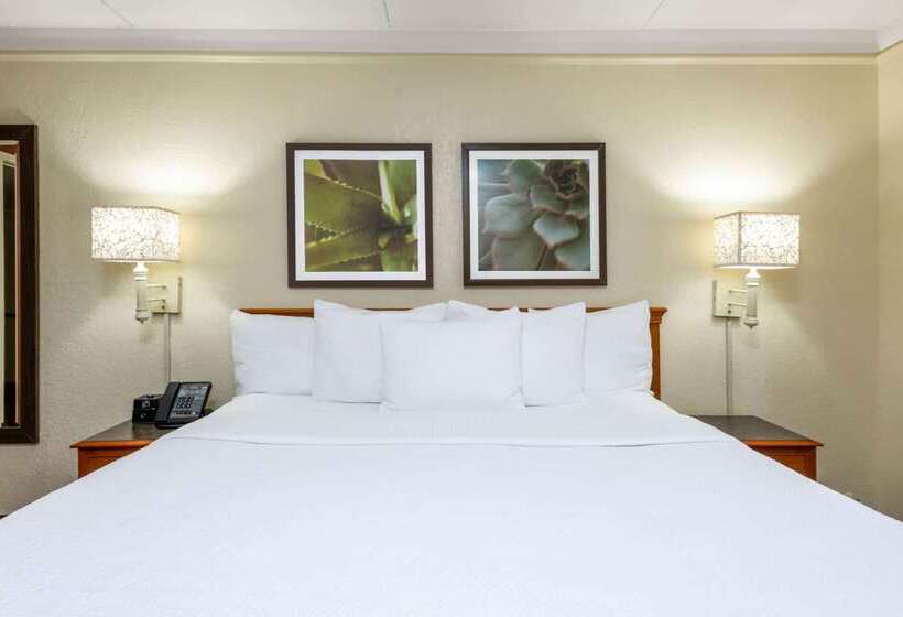 فندق La Quinta East Deerfield Beach   Boca Raton