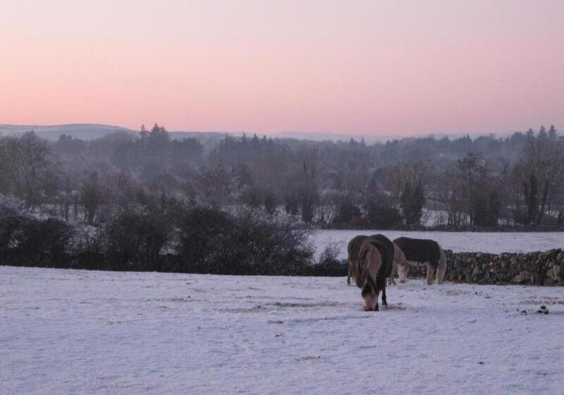 בית מלון כפרי Mountain View Guesthouse
